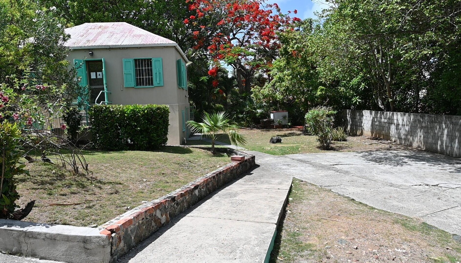 Image 6