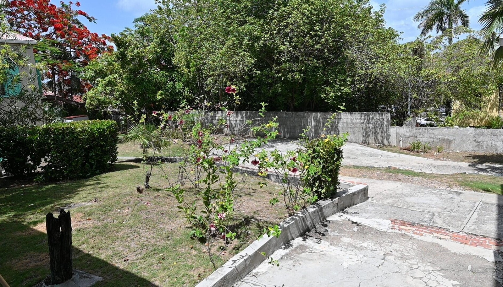 Image 14