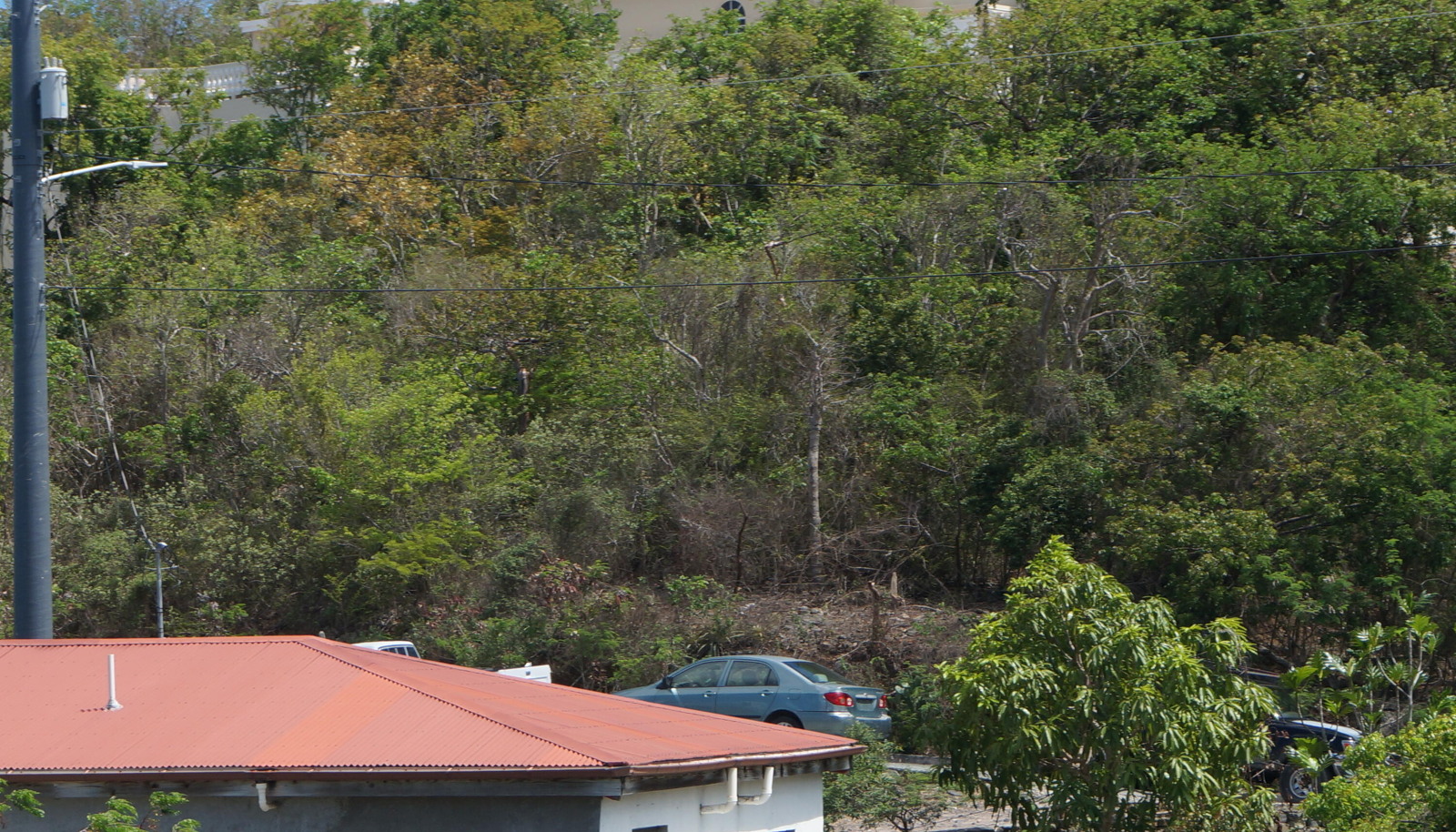 Image 11