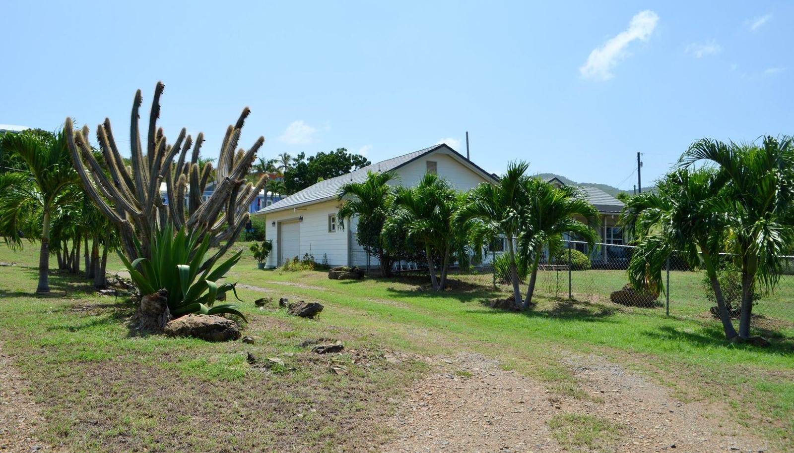Image 23