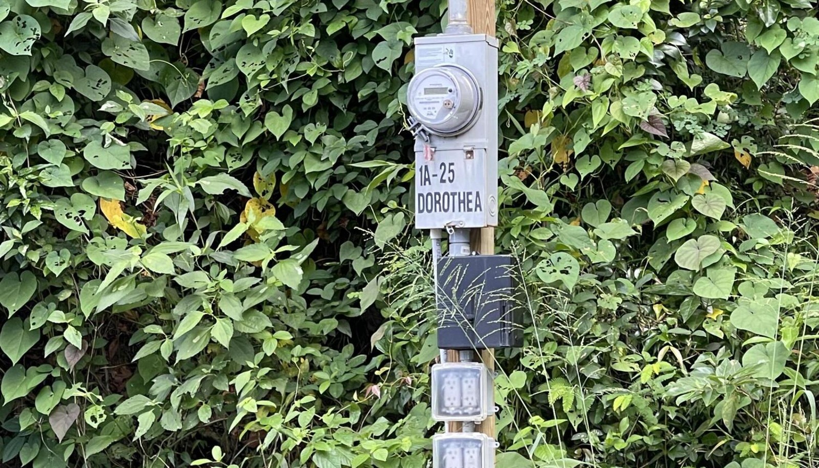 Image 6