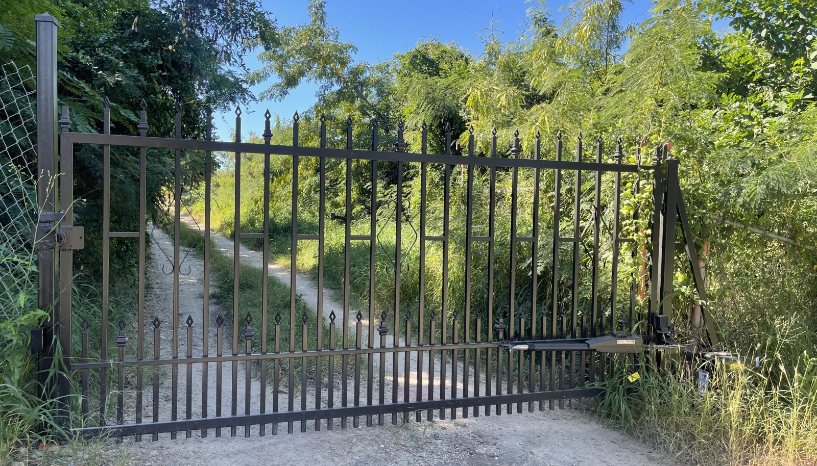 Image 6