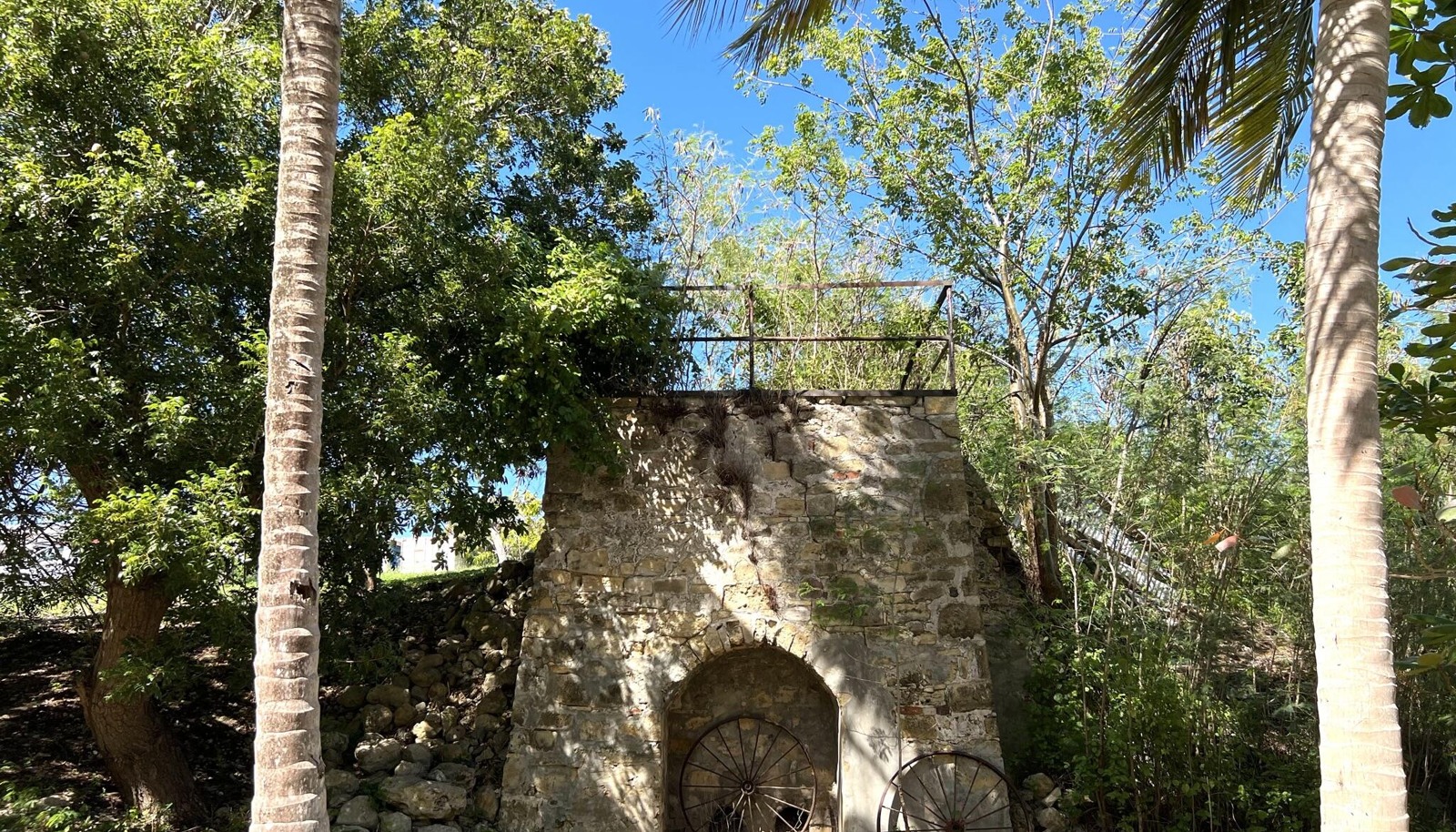 Image 47