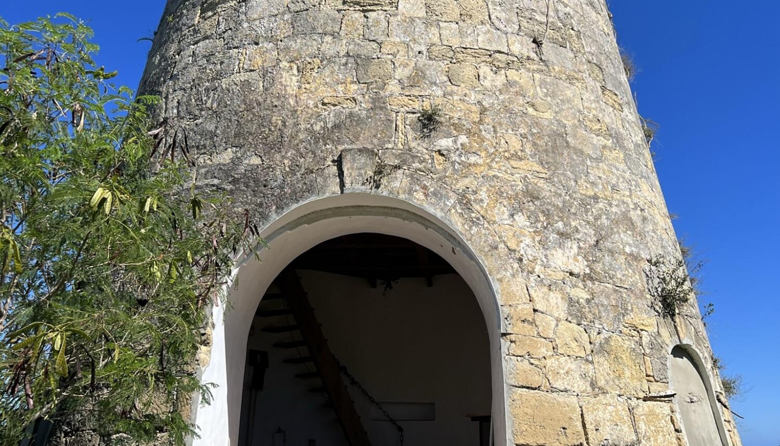 Image 49