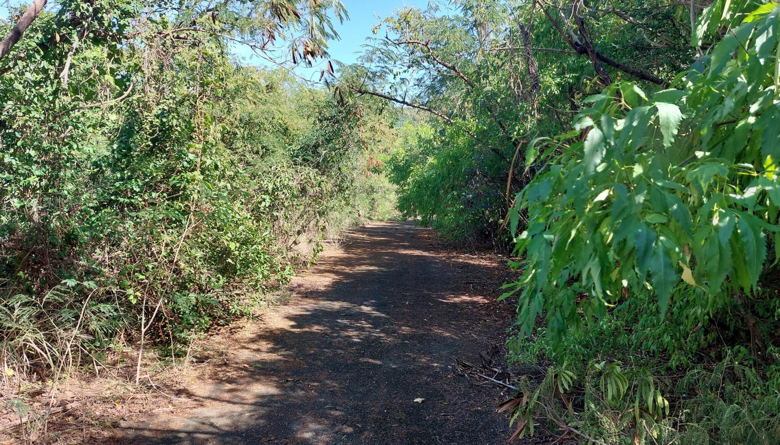 Image 7