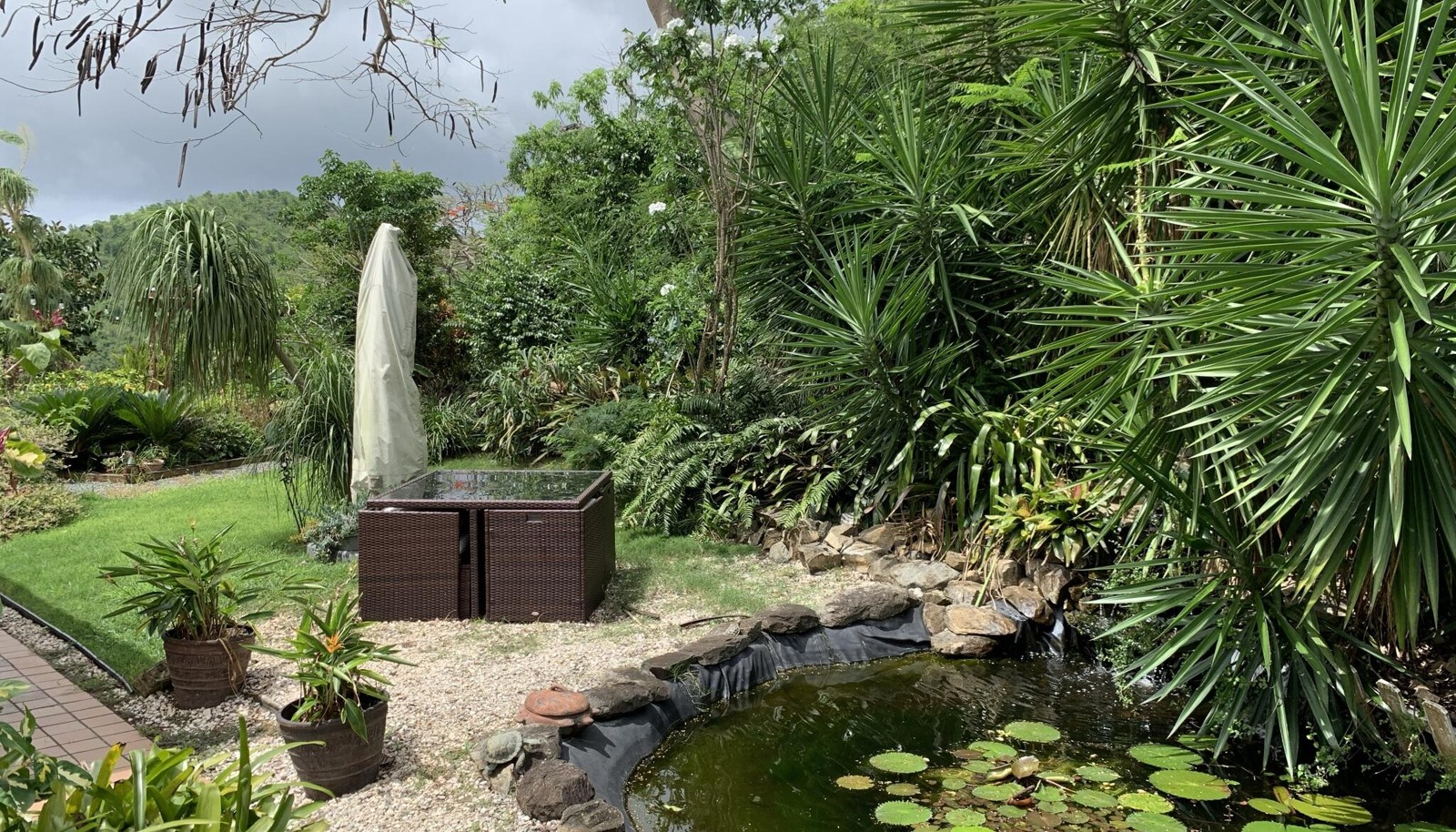Image 26