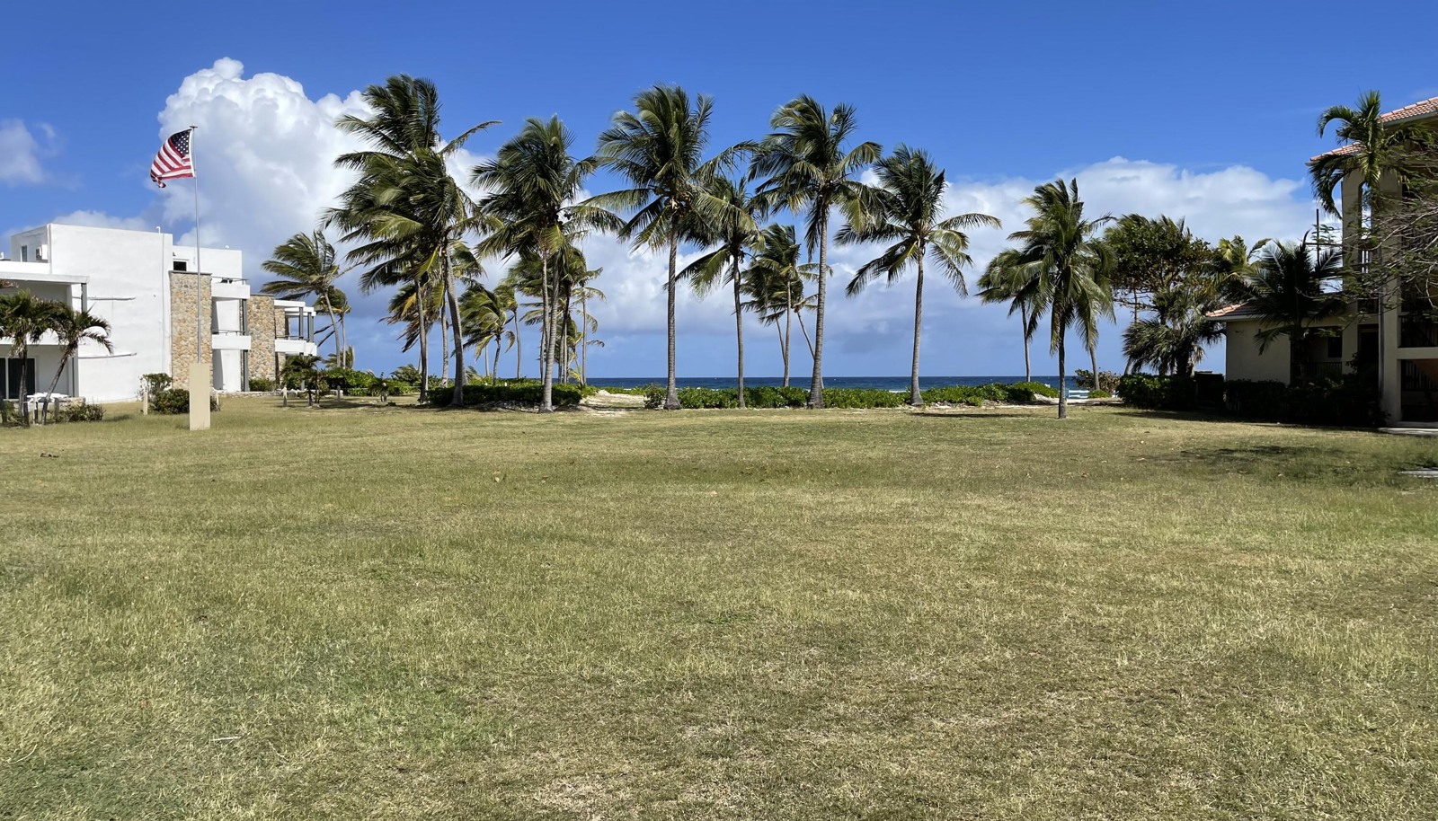 Image 34