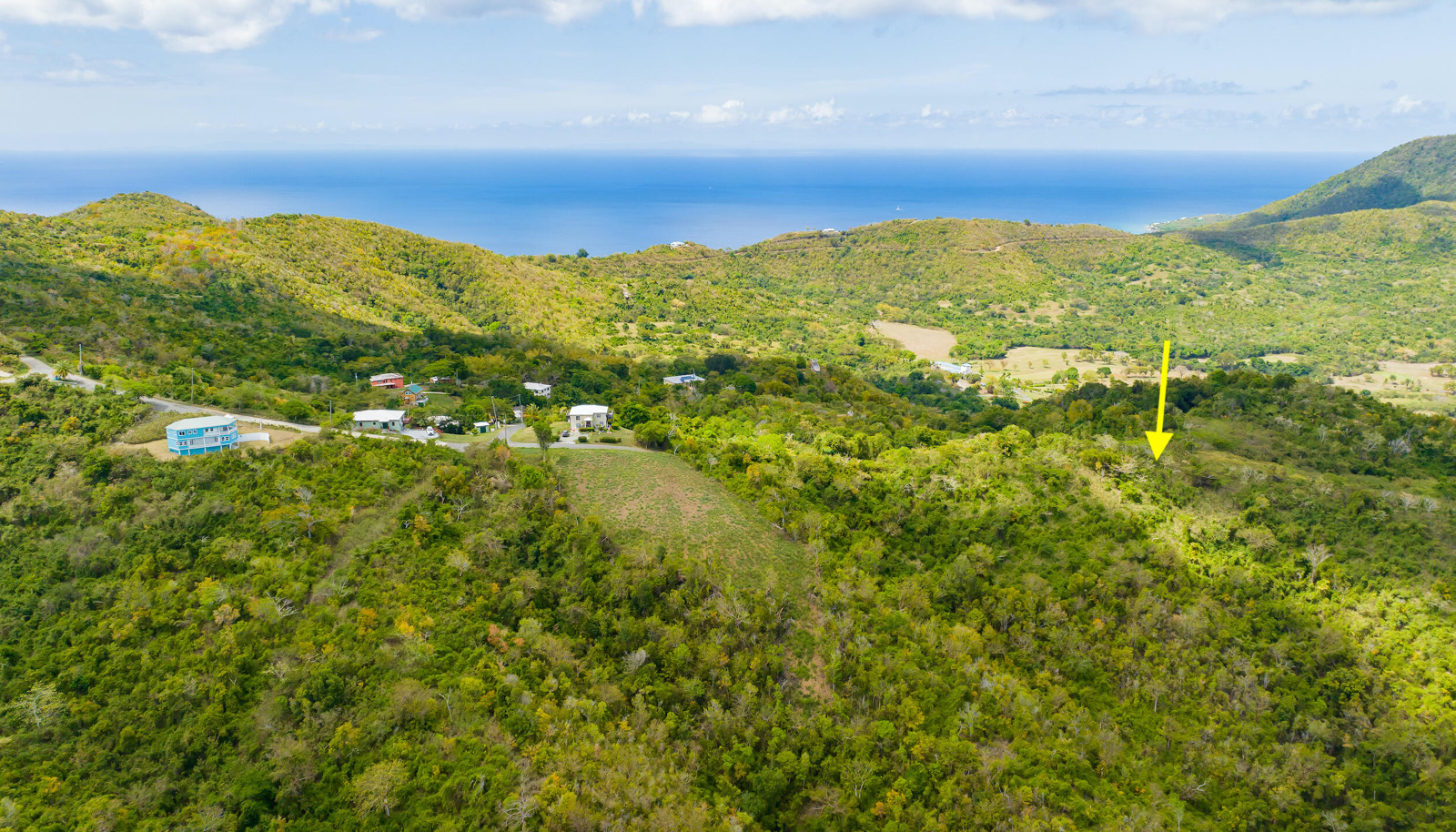 Image 10