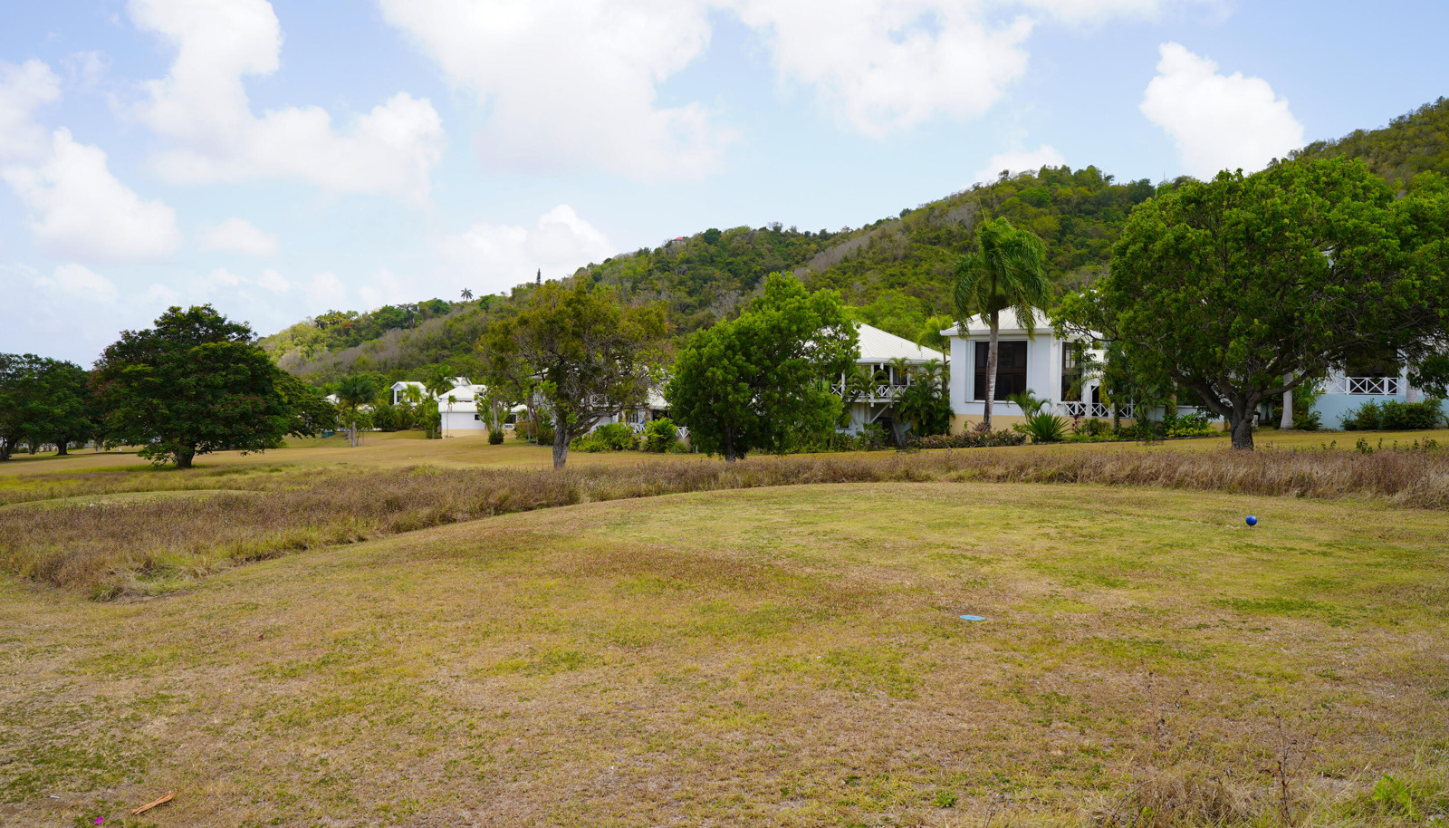 Image 39