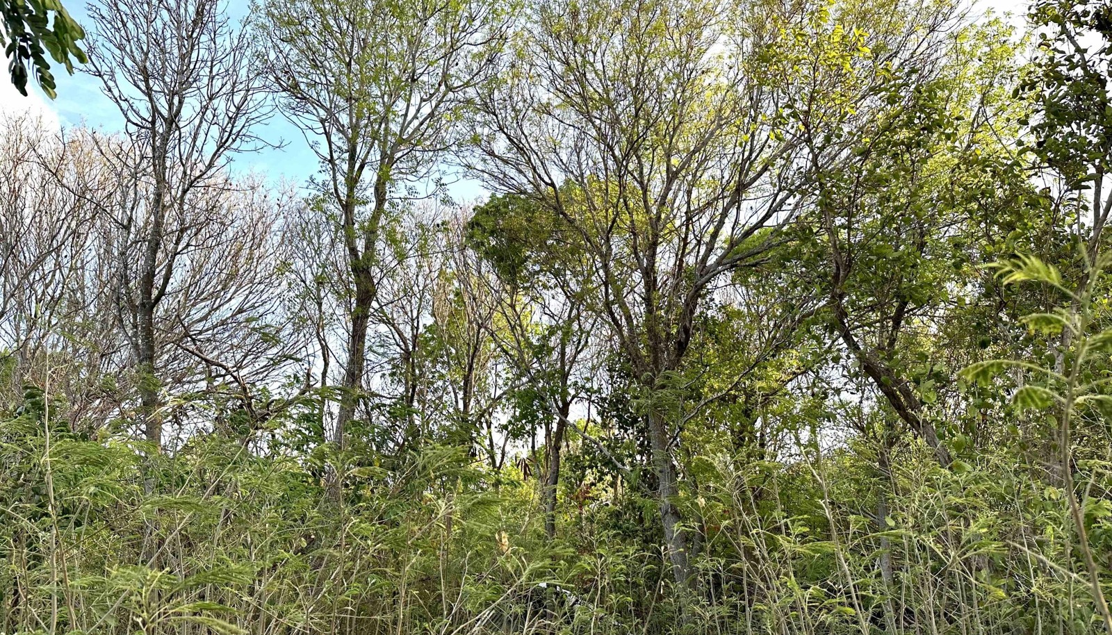 Image 10