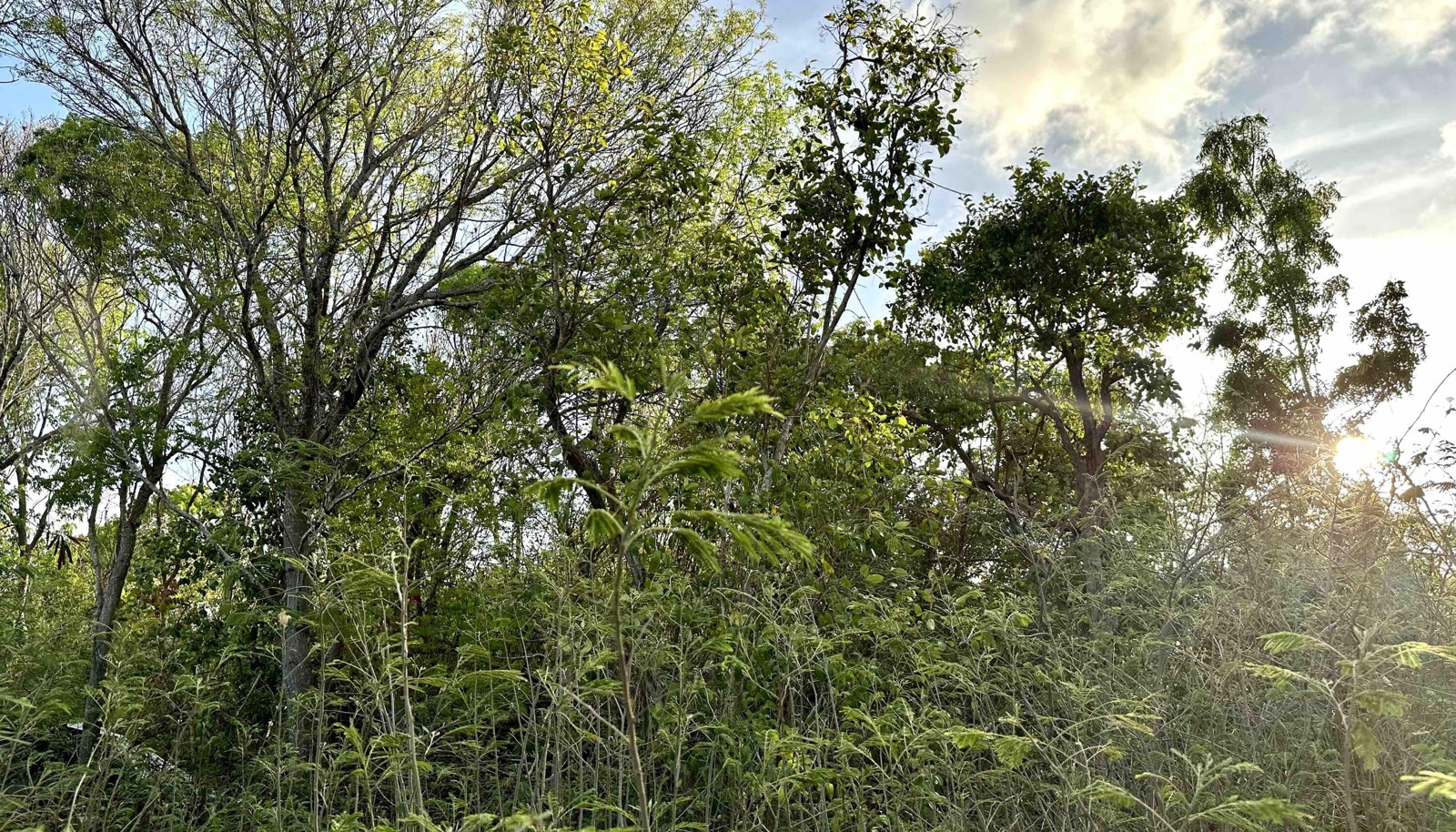 Image 12