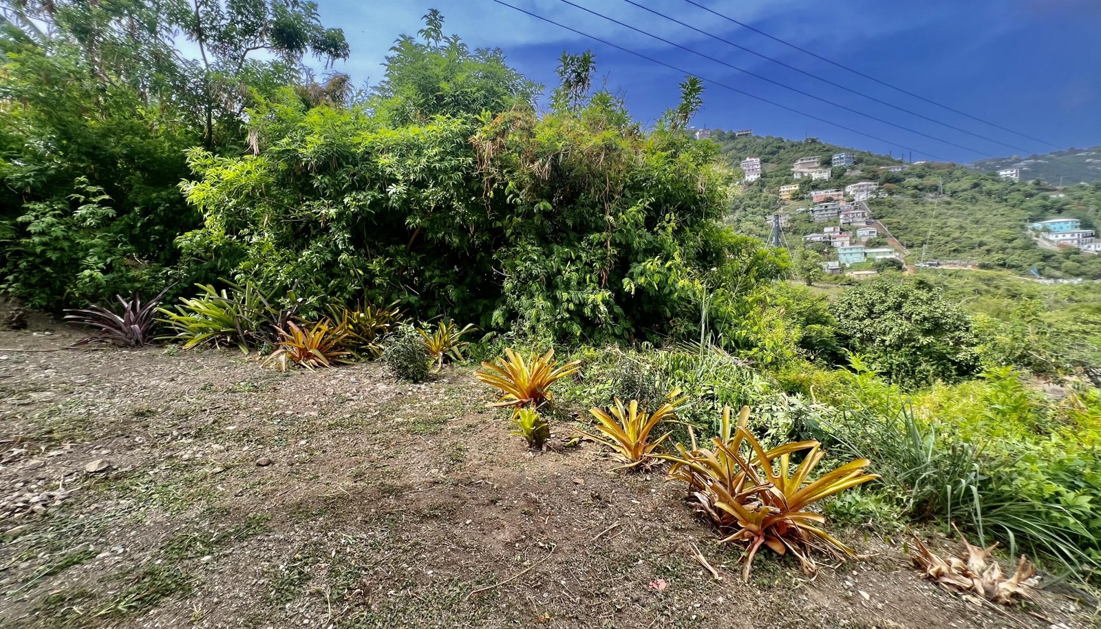 Image 46