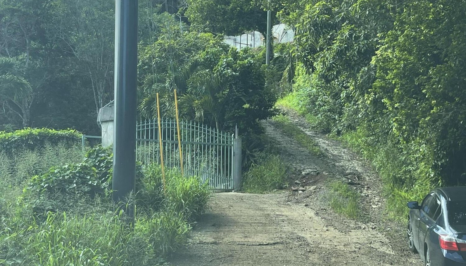 Image 42