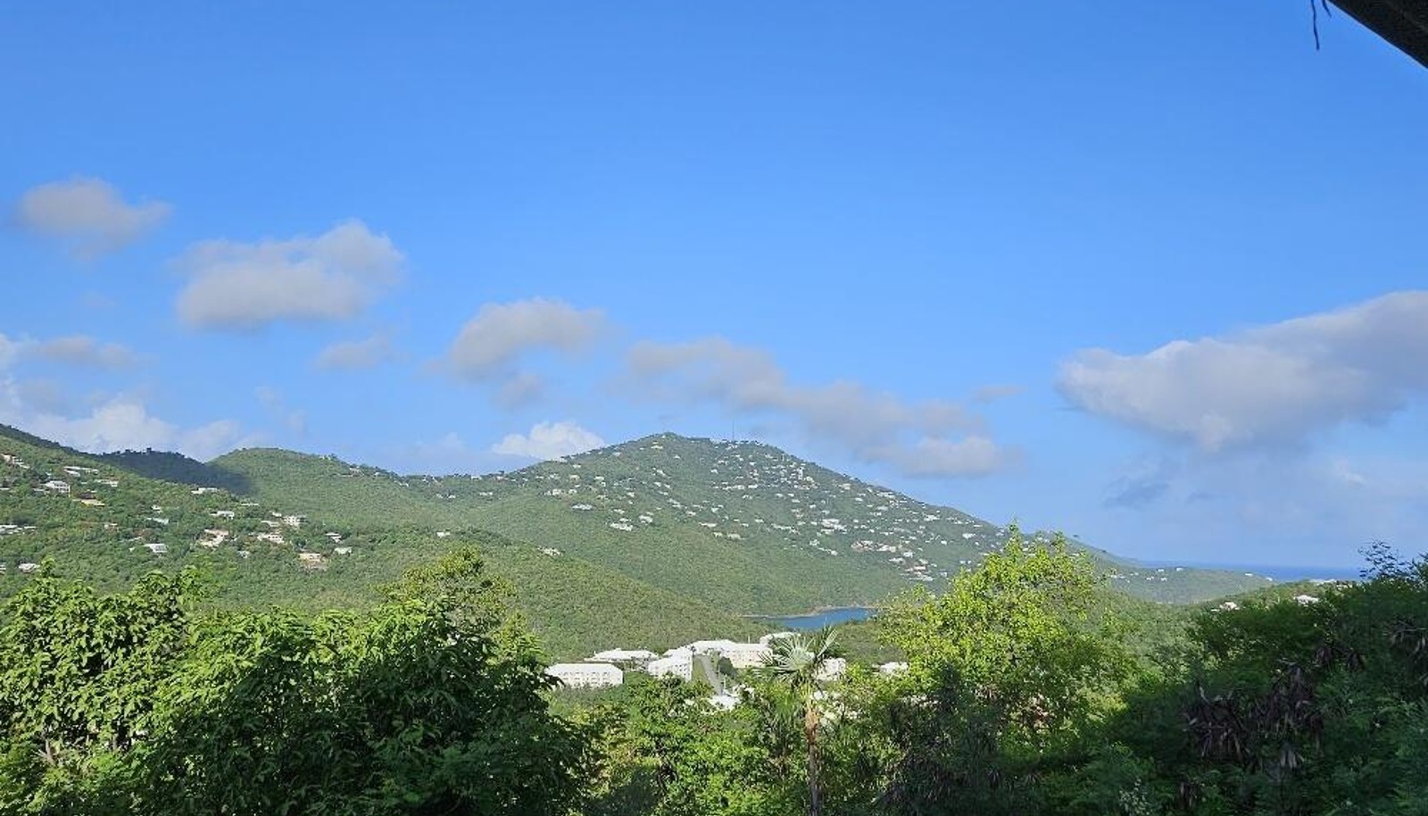 Image 29