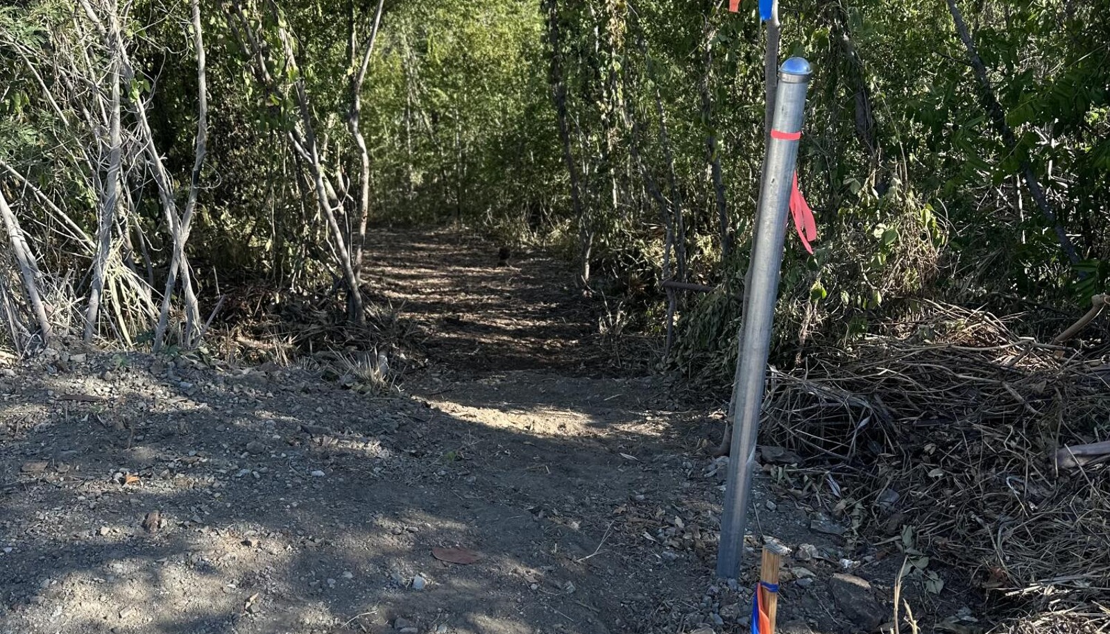 Image 12