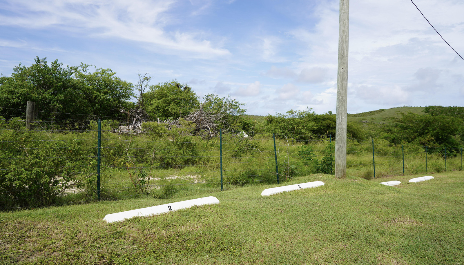 Image 31
