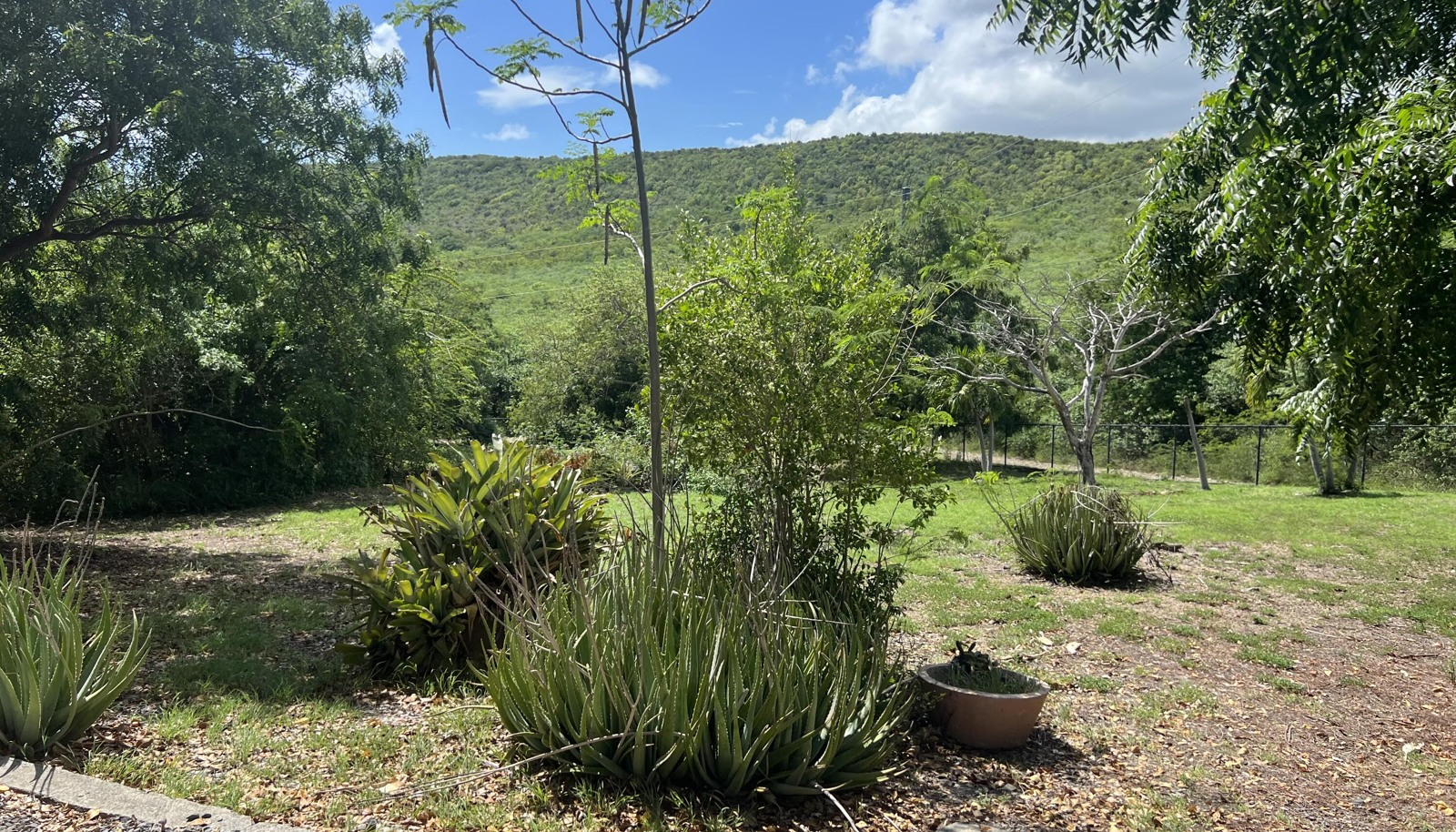 Image 12