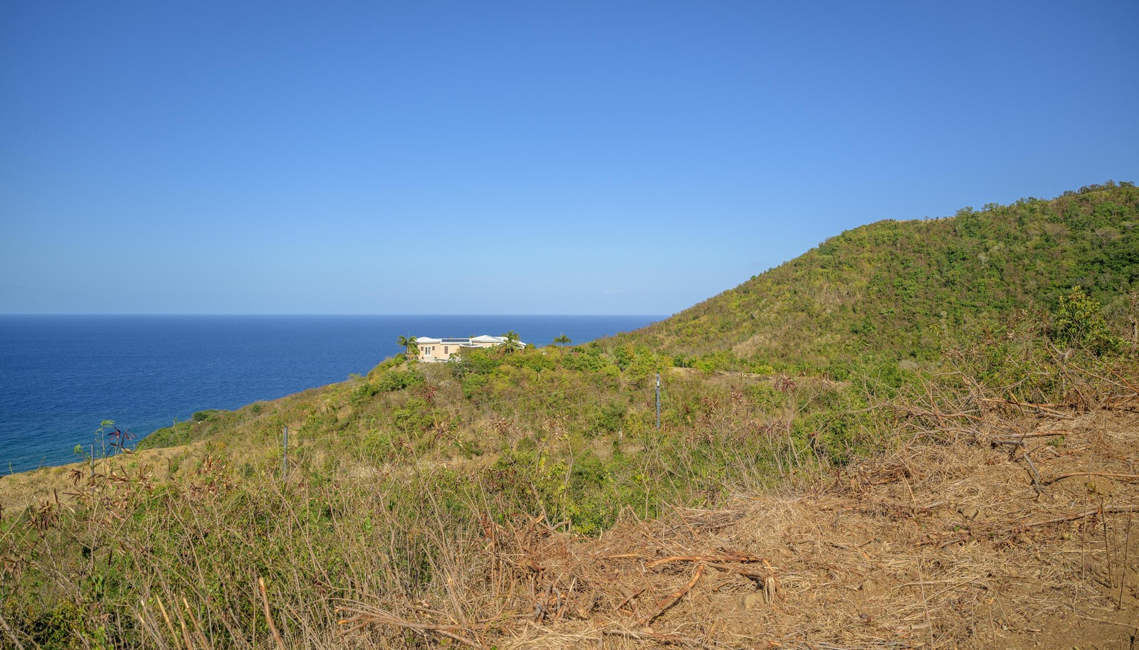 Image 10