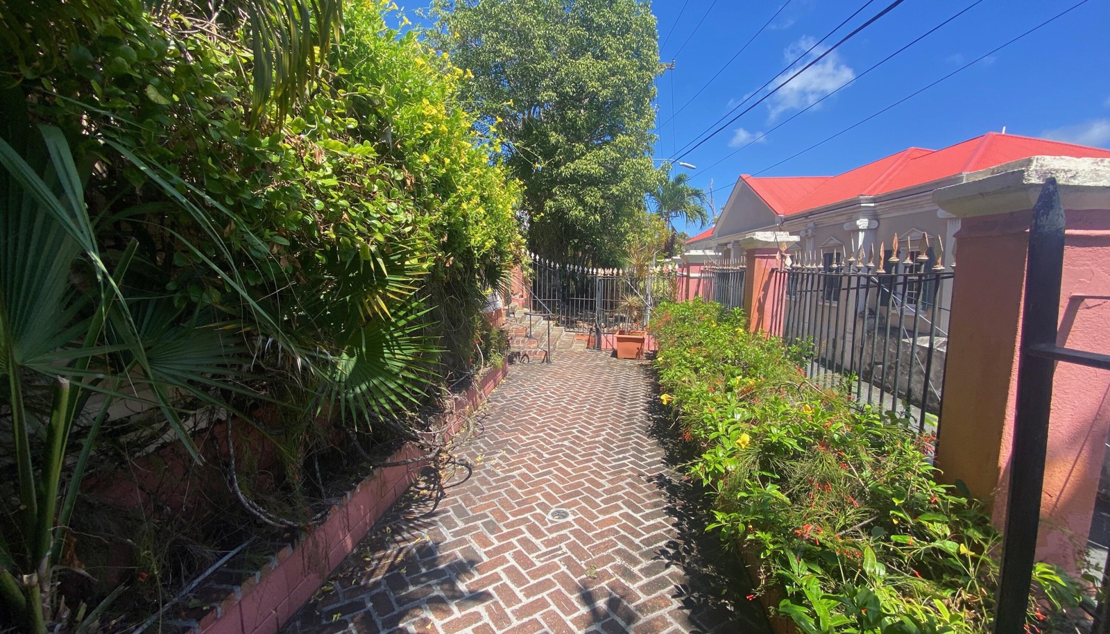 Image 13