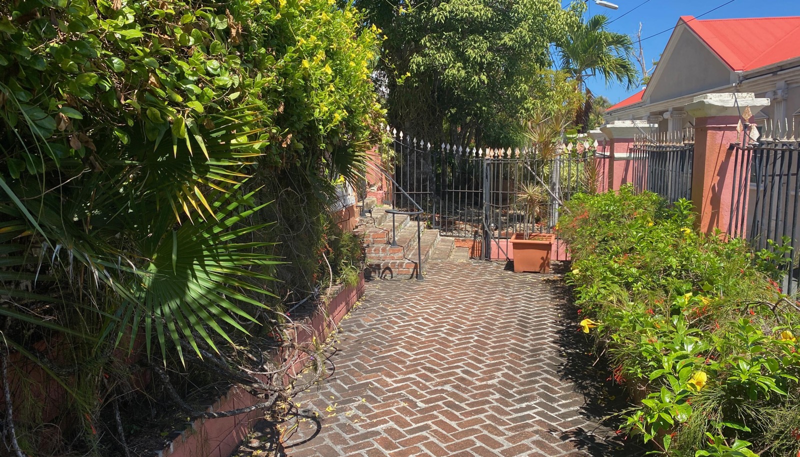 Image 19
