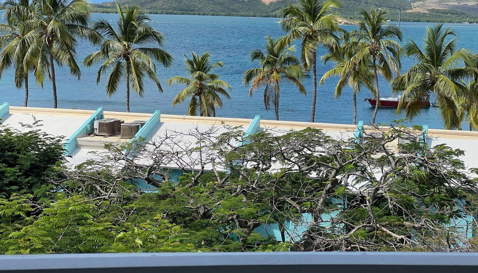 Image 8
