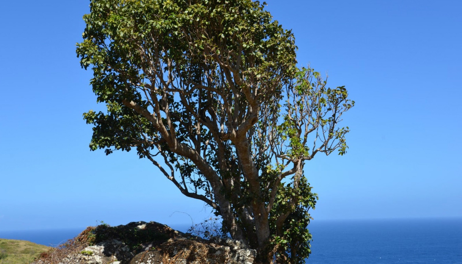 Image 18