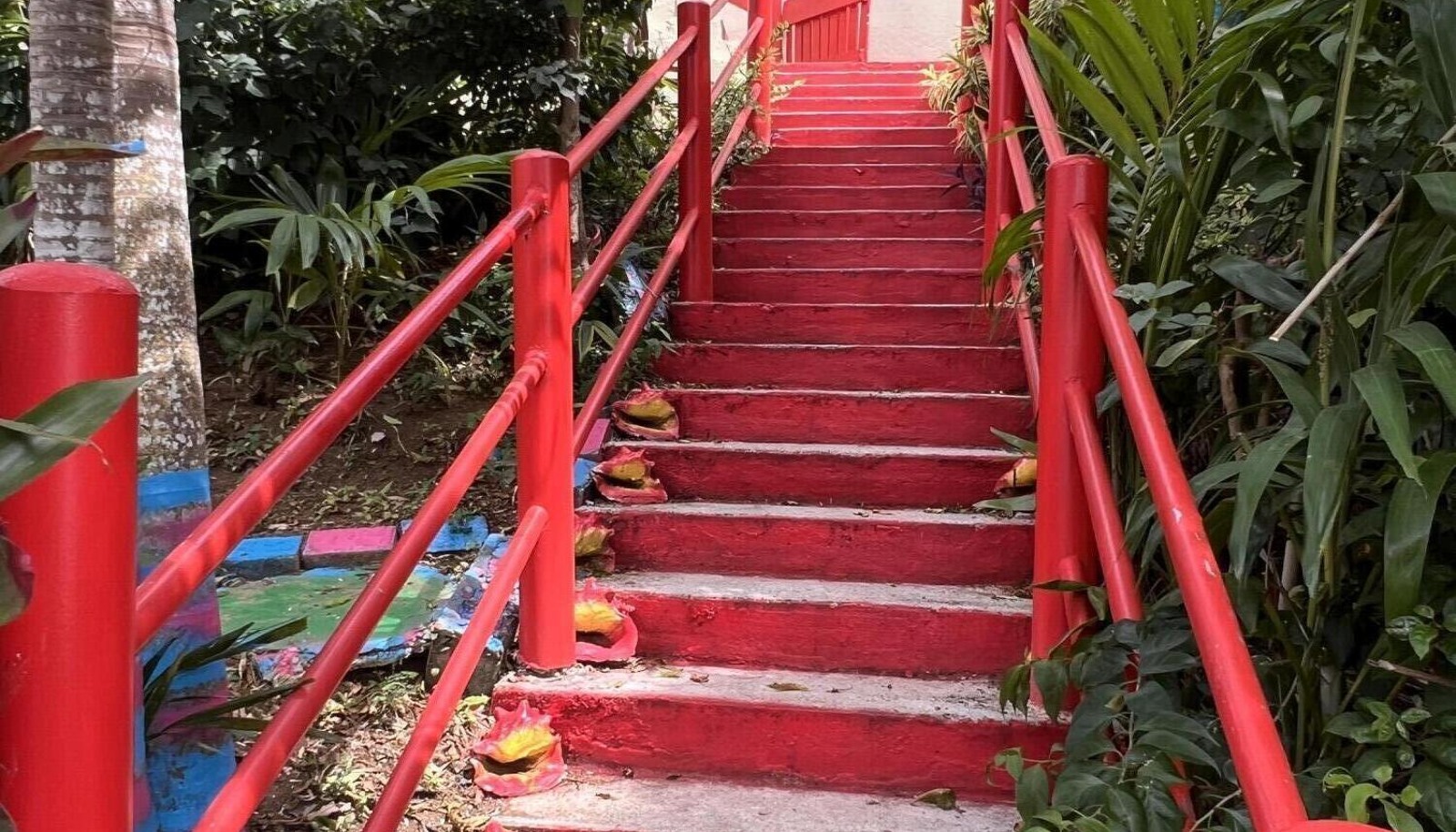 Image 13