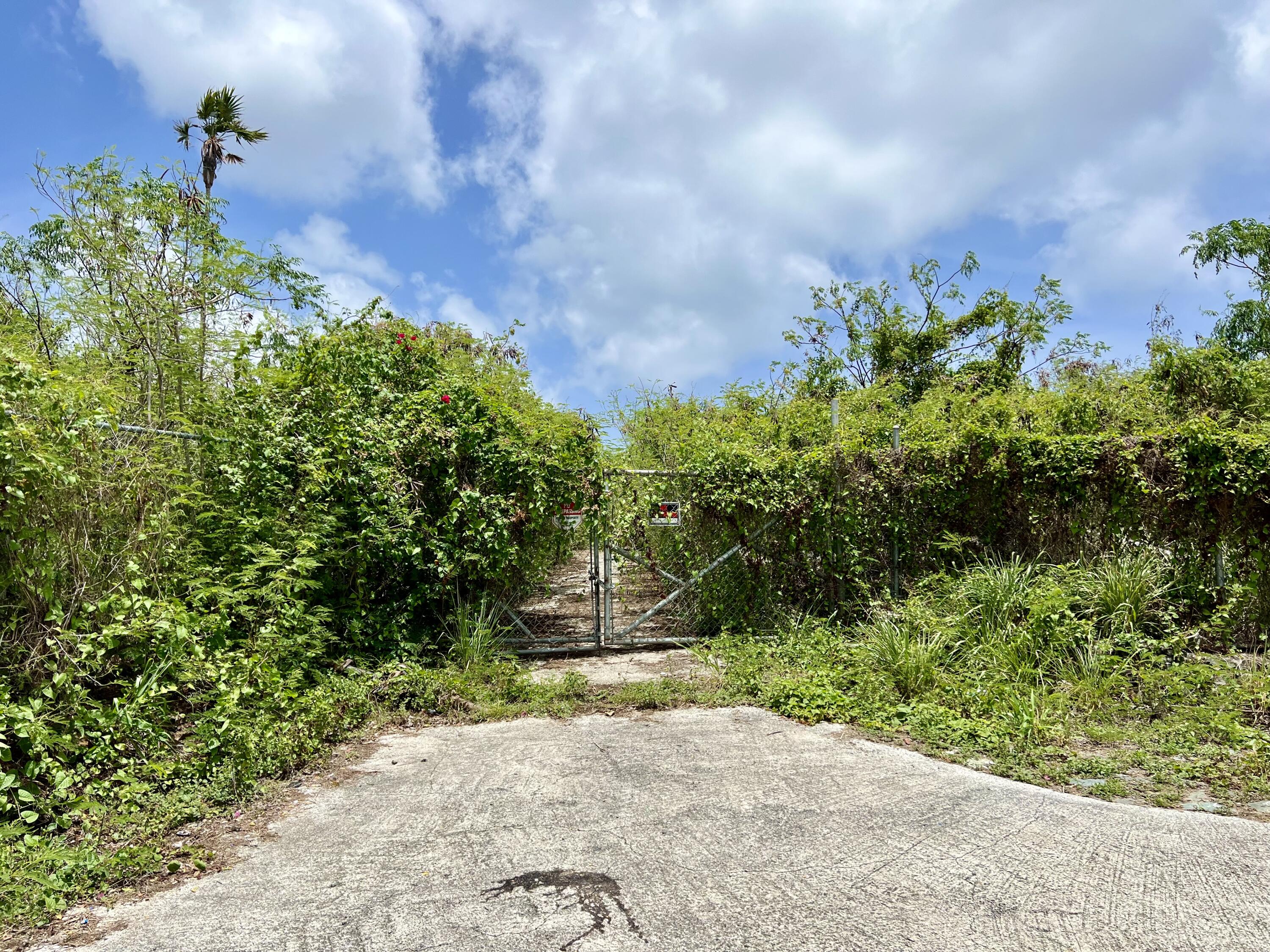Image 14