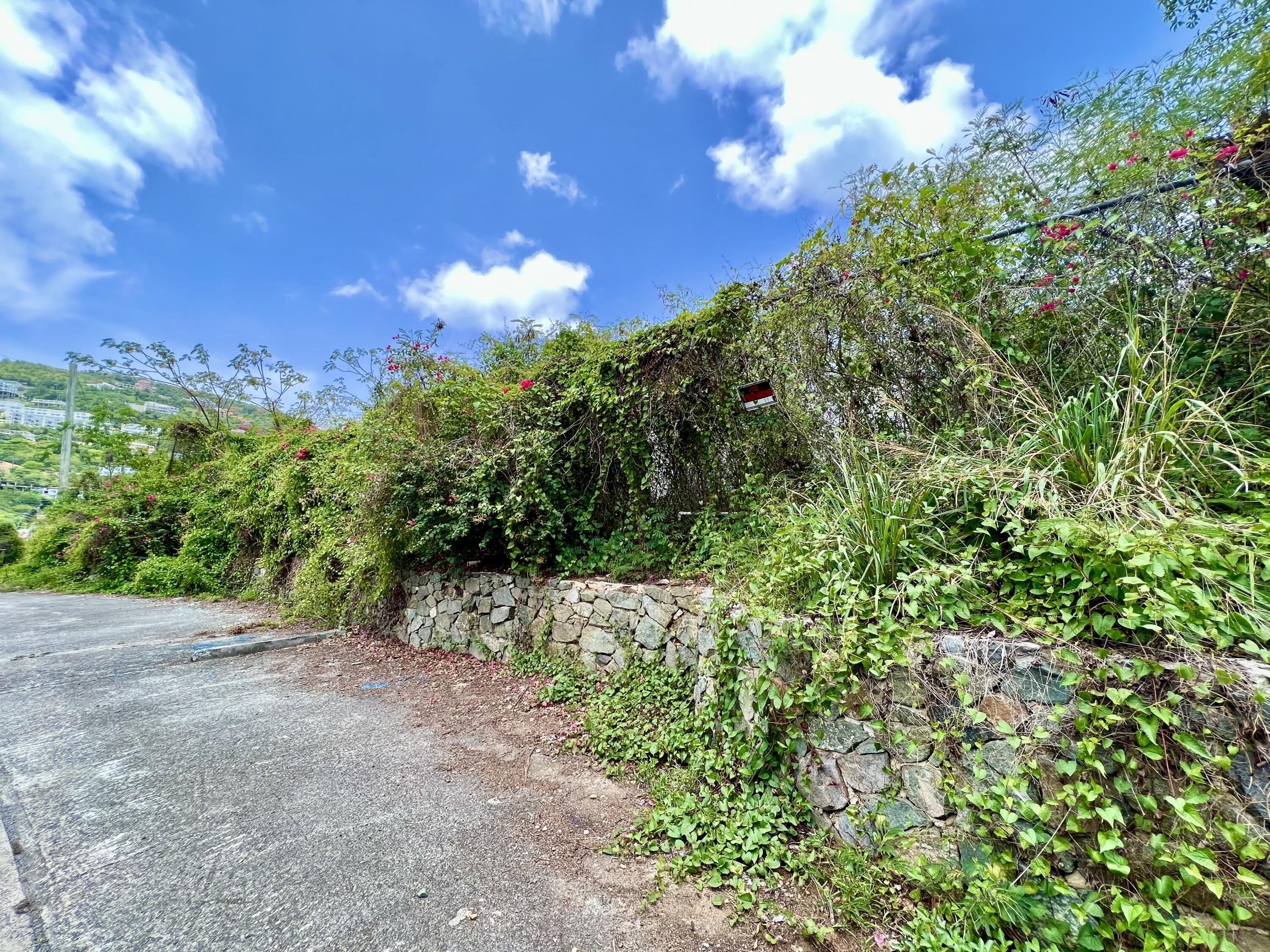Image 18