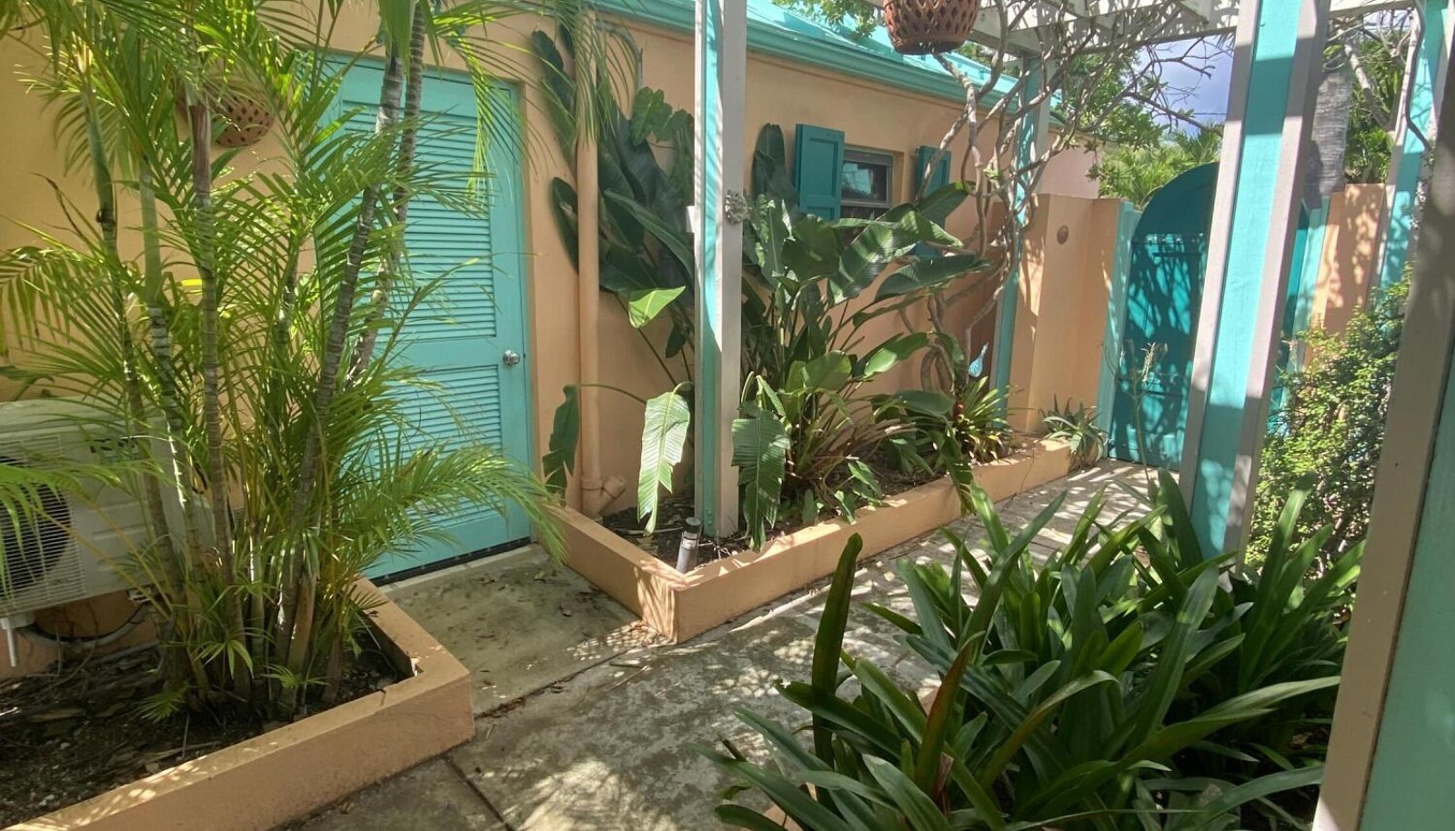 Image 8