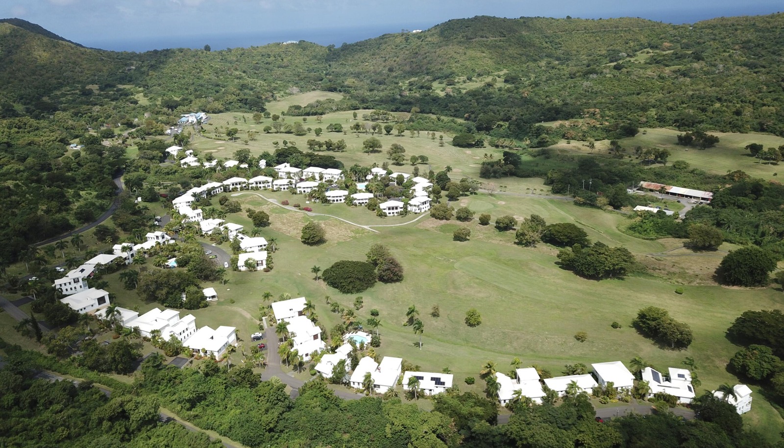 Image 15