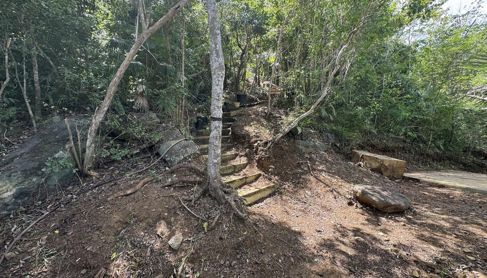 Image 14