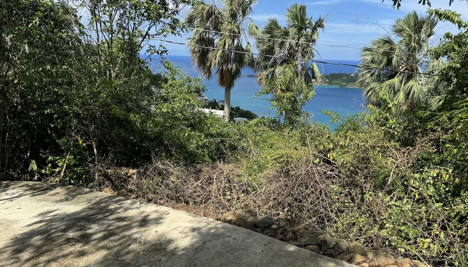 Image 15