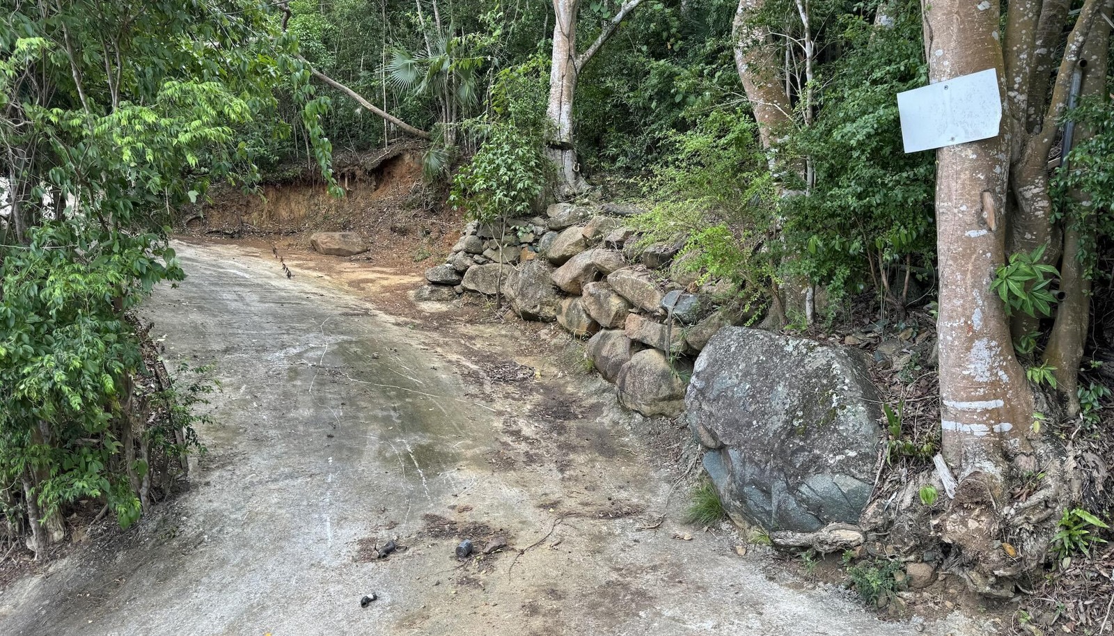 Image 18