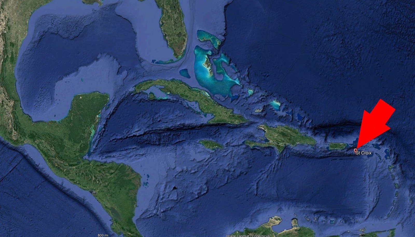 Image 5