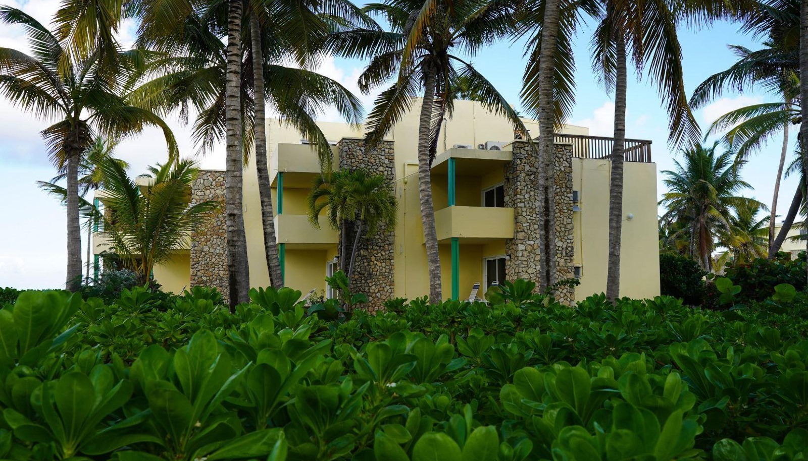 Image 19