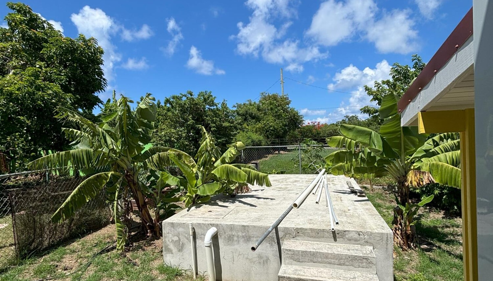 Image 15