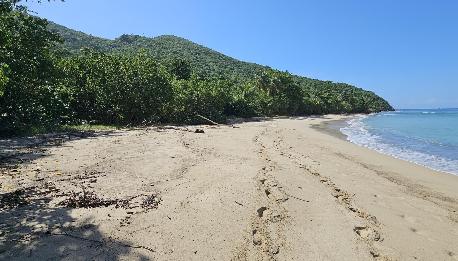 Image 11