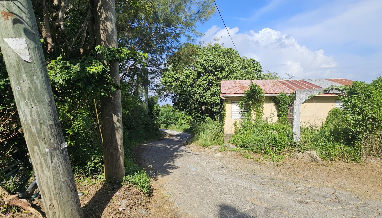 Image 12