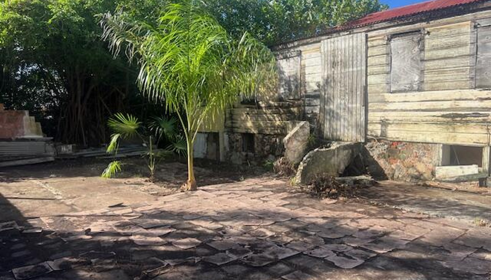 Image 12