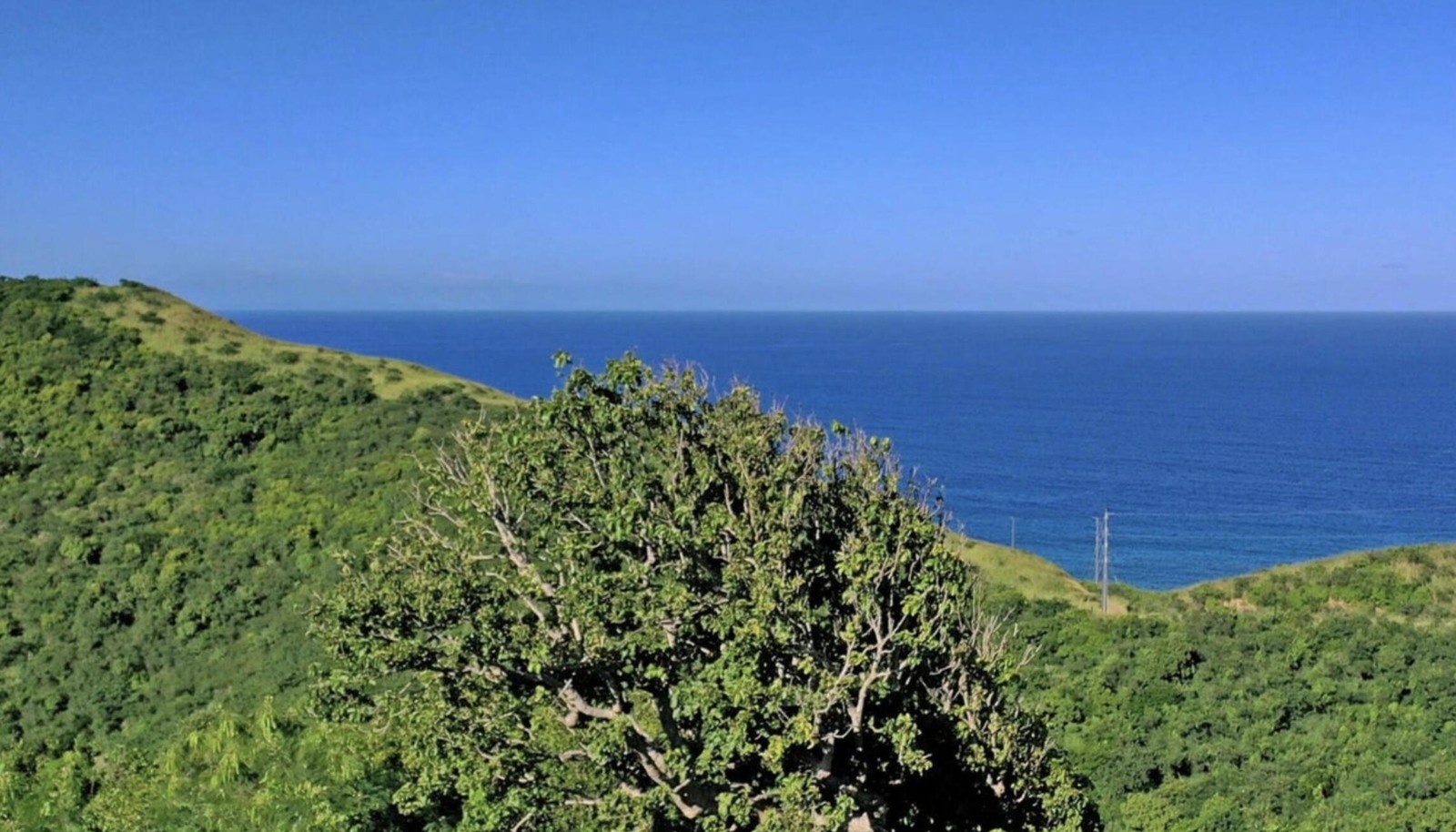 Image 12