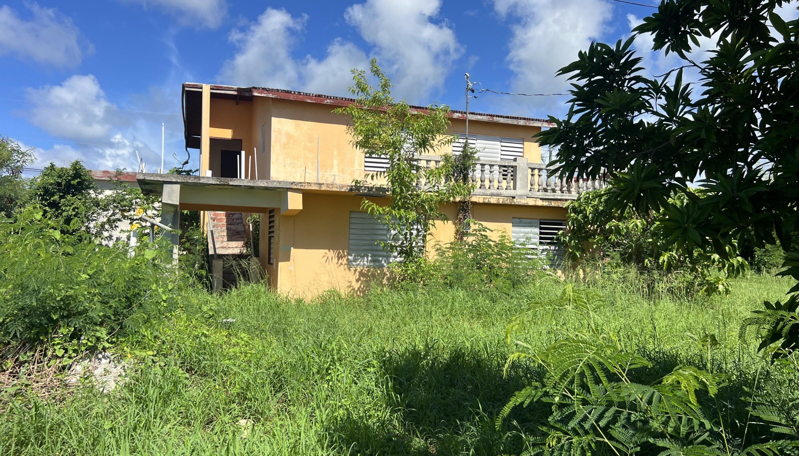 Image 10
