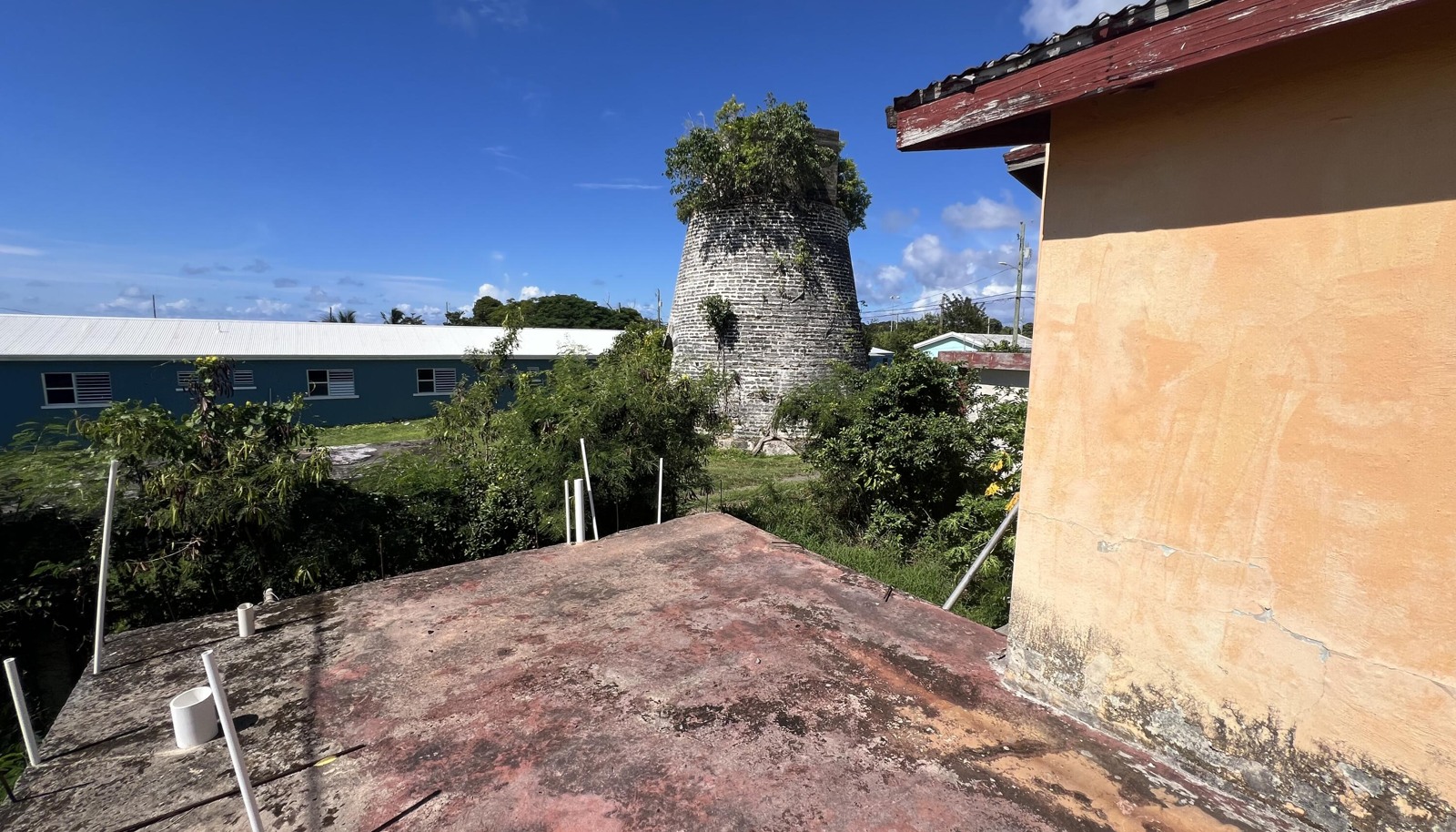 Image 23
