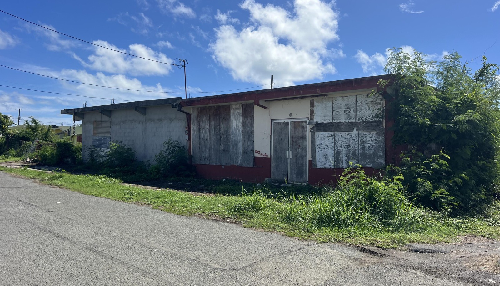 Image 49