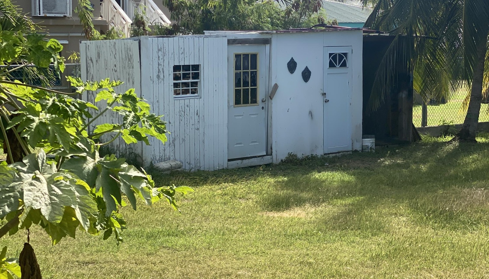 Image 29