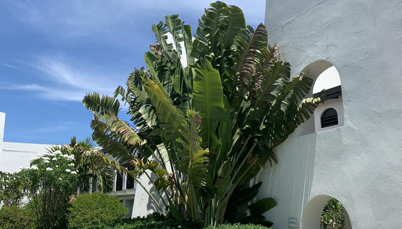 Image 15