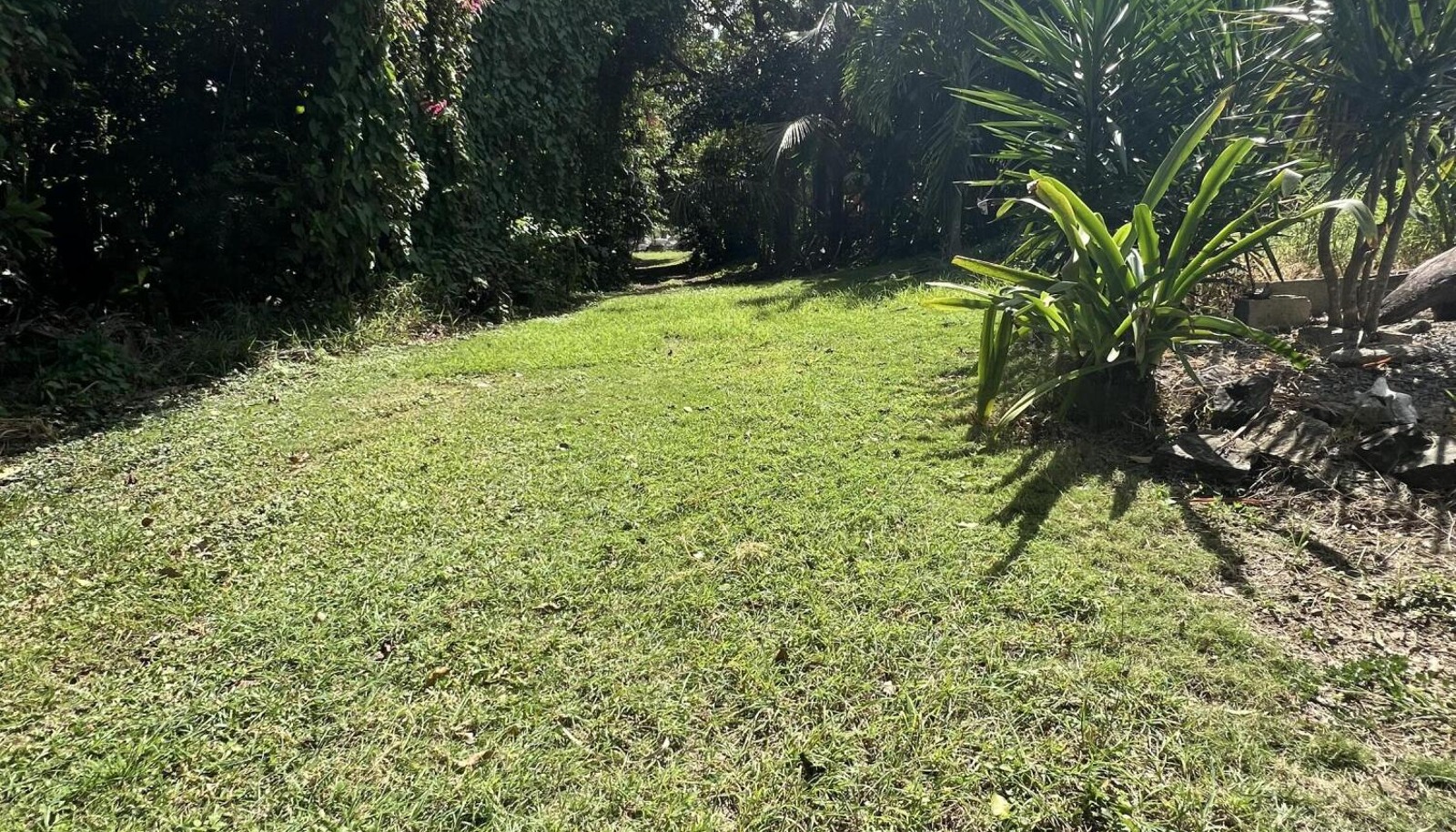 Image 22