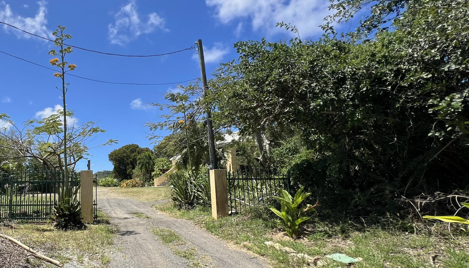 Image 12