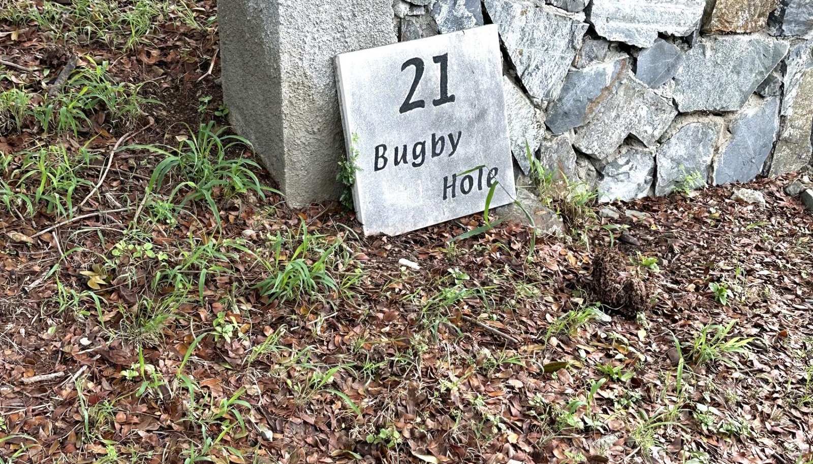 Image 16
