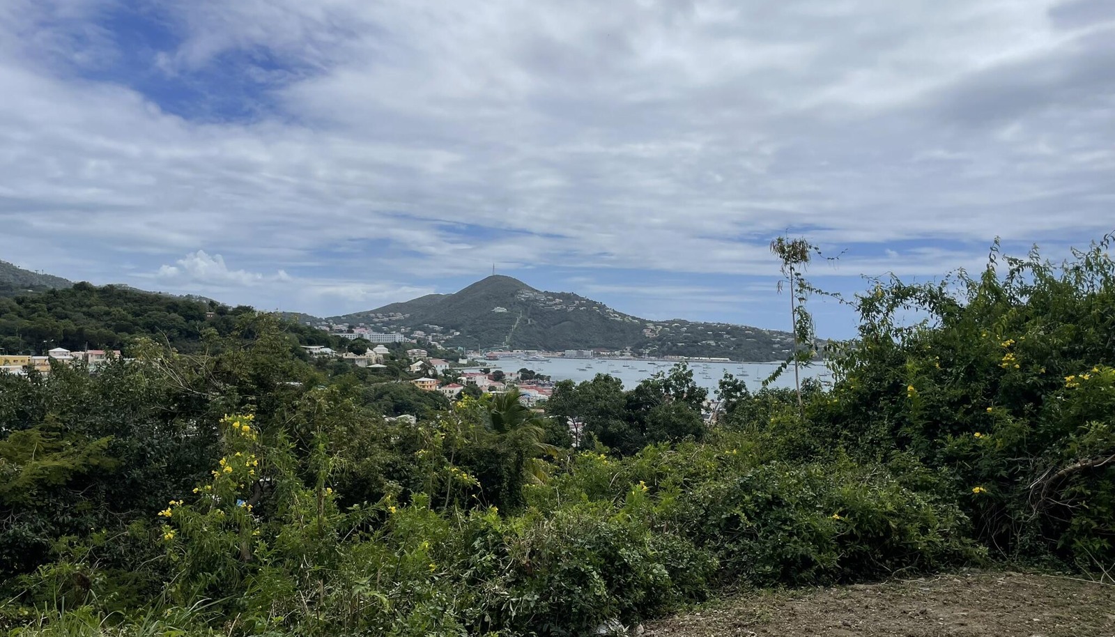 Image 11